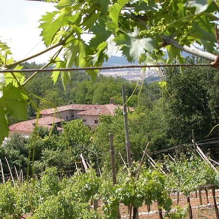 SantʼAmbrogio di Valpolicella Agriturismo Ca' Verde מראה חיצוני תמונה