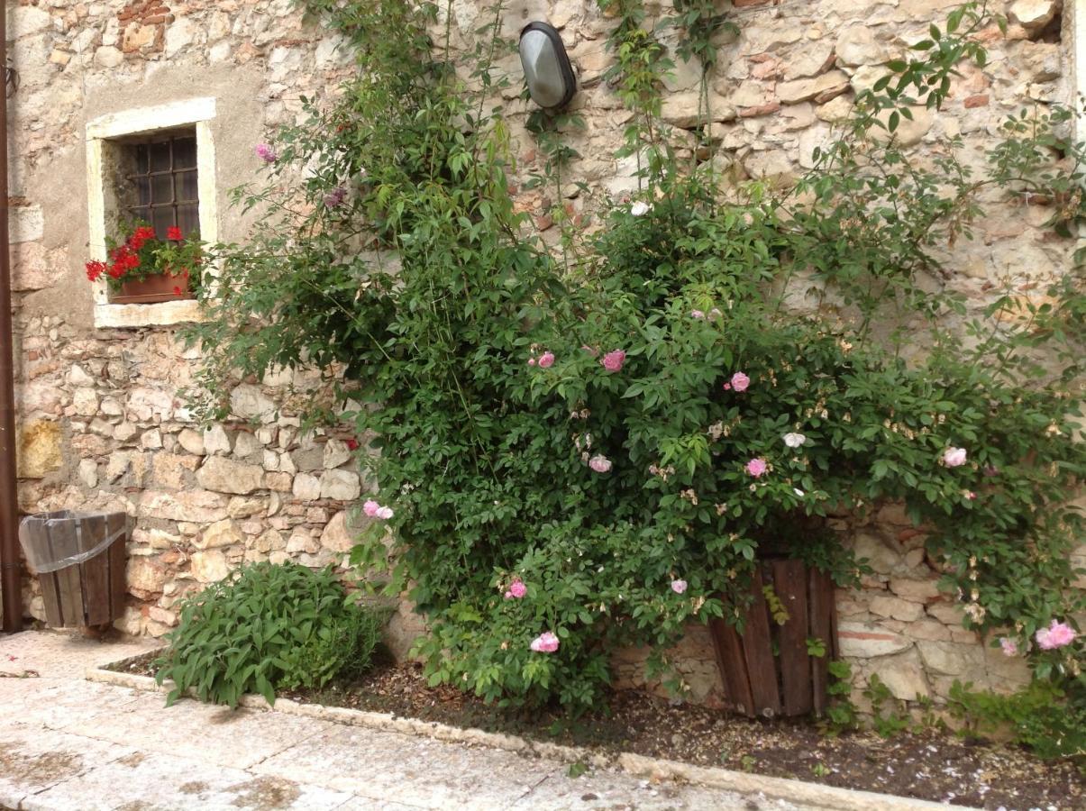 SantʼAmbrogio di Valpolicella Agriturismo Ca' Verde מראה חיצוני תמונה