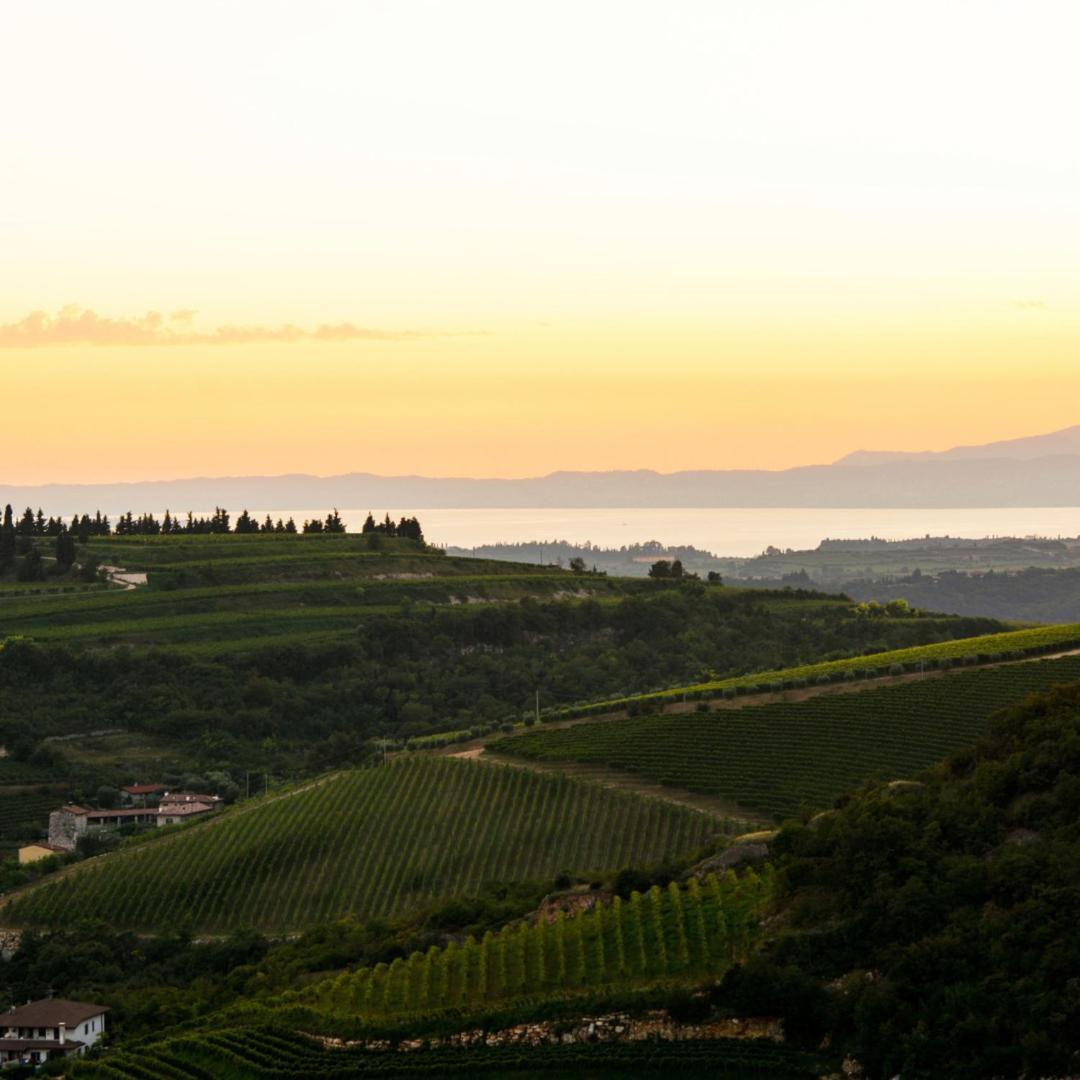 SantʼAmbrogio di Valpolicella Agriturismo Ca' Verde מראה חיצוני תמונה